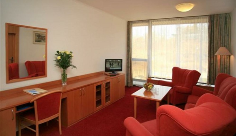 SPA HOTEL THERMAL**** Karlovy Vary - Dvoulůžkový pokoj